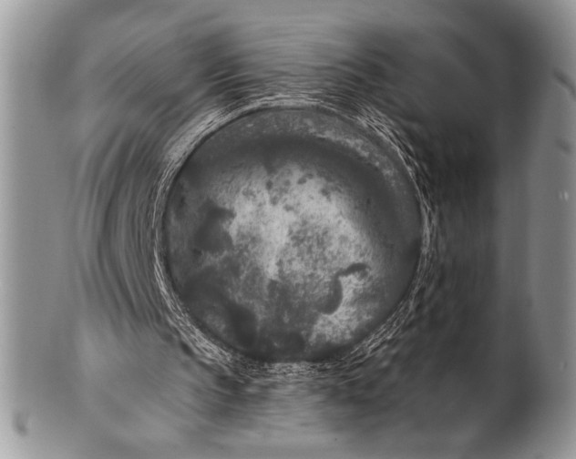 X0000100360145200806201612