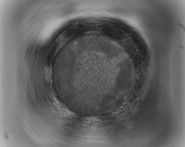 X0000100360146200806201612