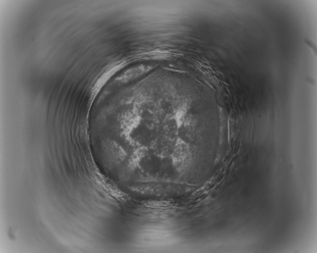 X0000100360147200806201612