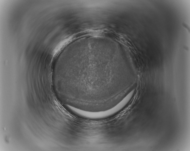 X0000100360149200806201612