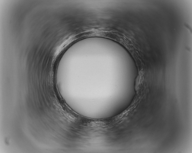 X0000100360150200806201612