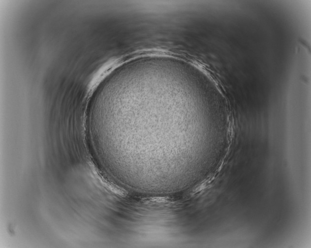 X0000100360151200806201612