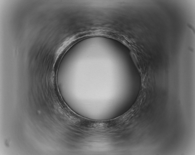 X0000100360152200806201612