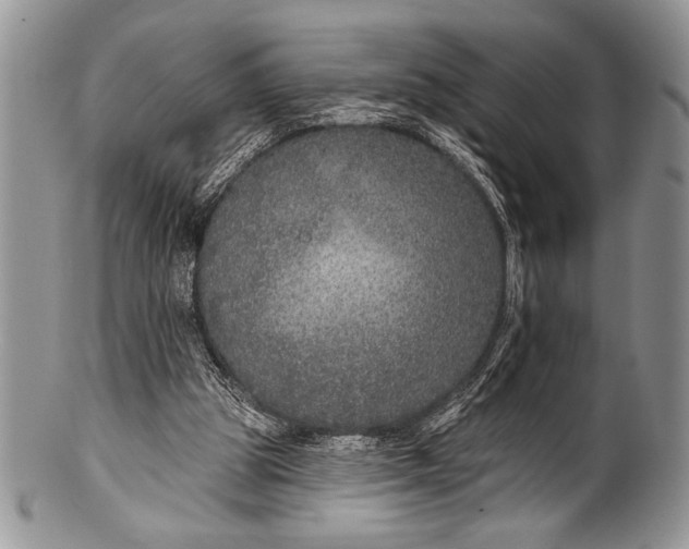 X0000100360153200806201612