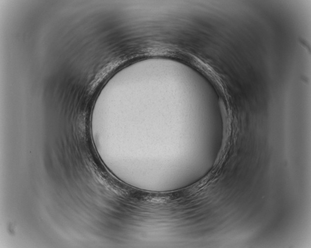 X0000100360155200806201612