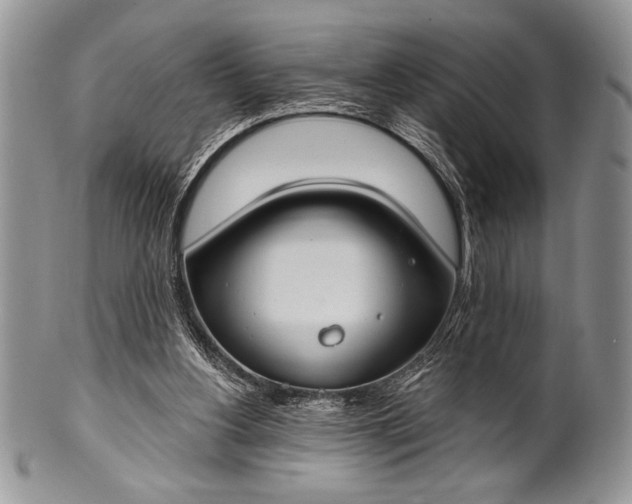 X0000100360156200806201612