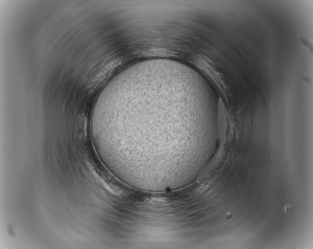 X0000100360157200806201612