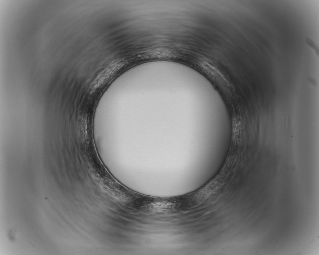 X0000100360158200806201612