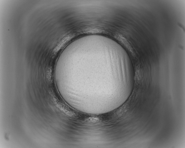 X0000100360159200806201612