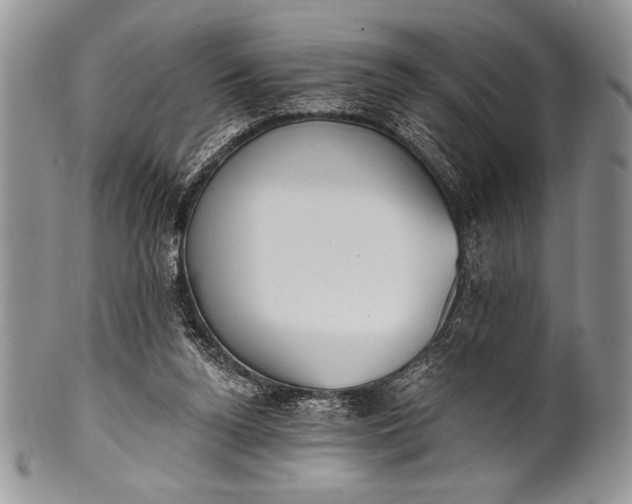 X0000100360160200806201612