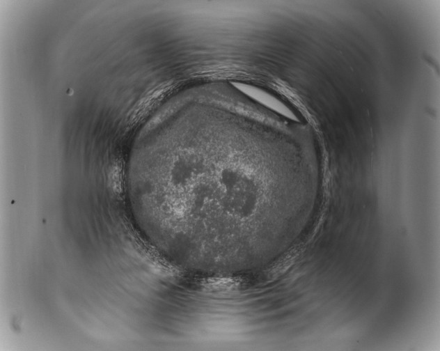 X0000100360161200806201612