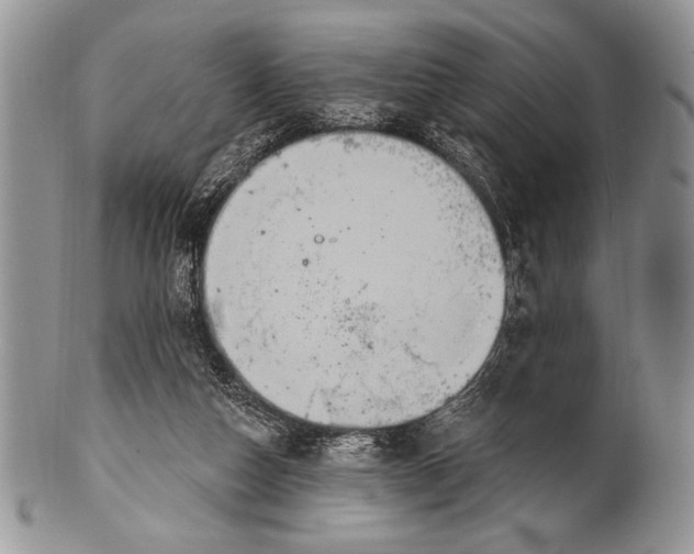 X0000100360162200806201612