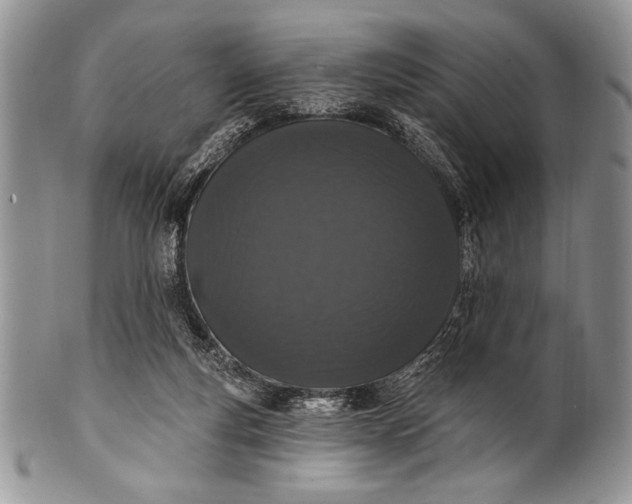 X0000100360163200806201612