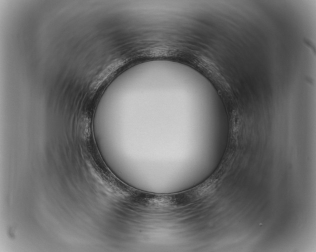 X0000100360164200806201612