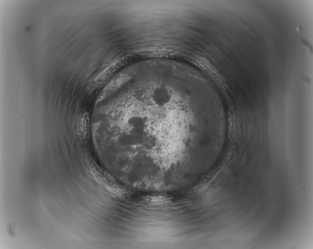 X0000100360165200806201612