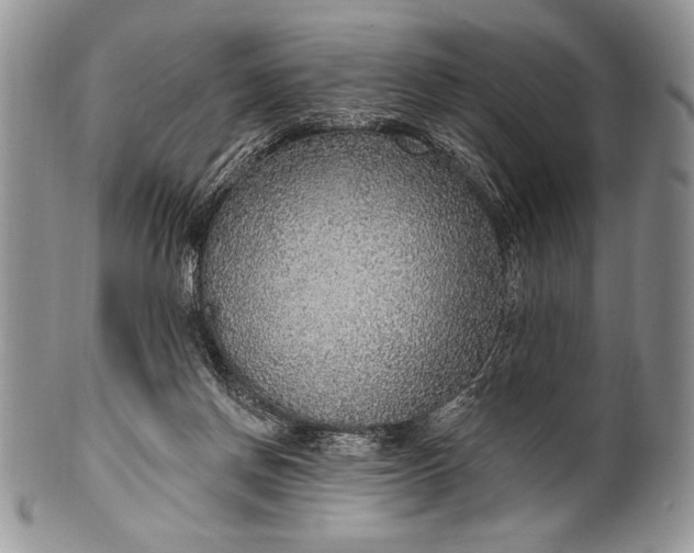 X0000100360166200806201612