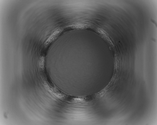 X0000100360167200806201612