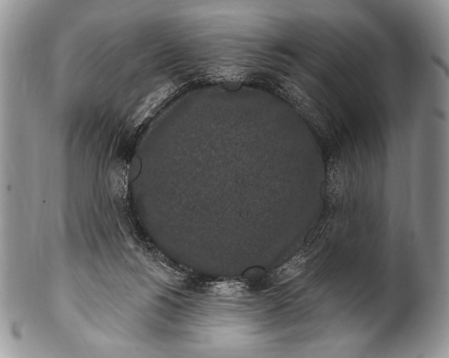 X0000100360168200806201612