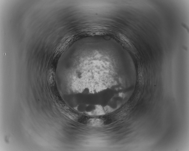 X0000100360169200806201612