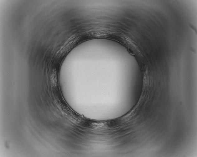 X0000100360170200806201612