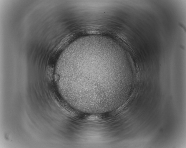 X0000100360171200806201613