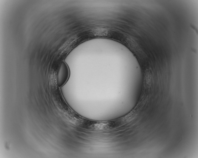 X0000100360172200806201613