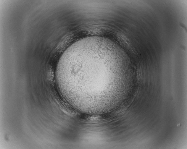 X0000100360173200806201613