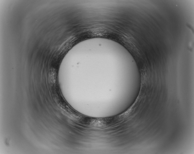 X0000100360174200806201613