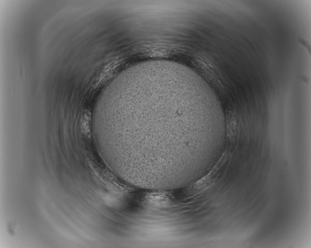 X0000100360175200806201613