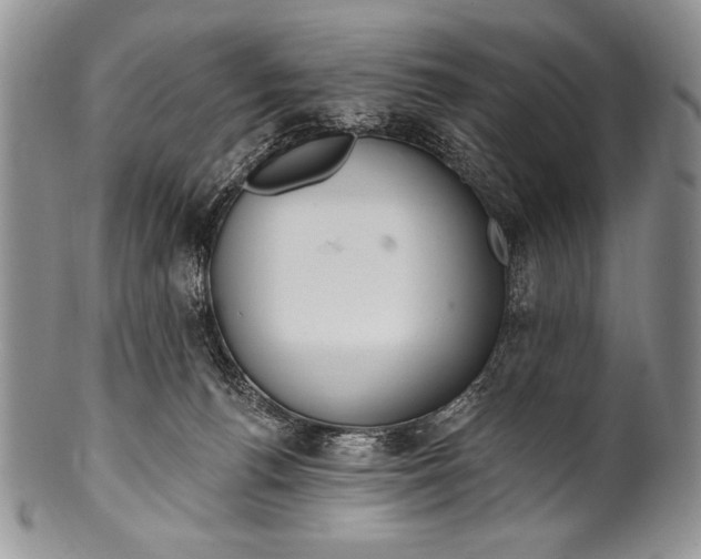 X0000100360176200806201613