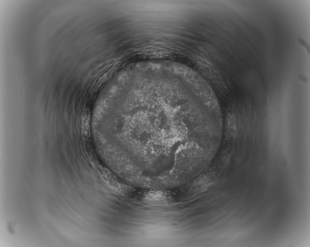 X0000100360177200806201613