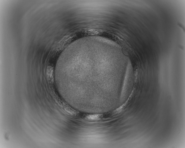 X0000100360178200806201613