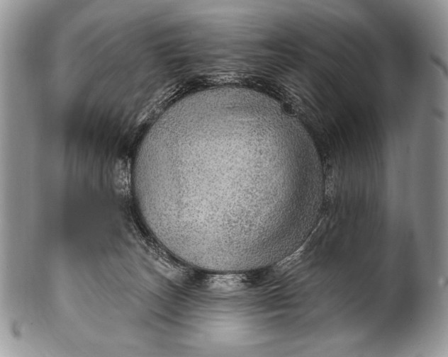 X0000100360179200806201613