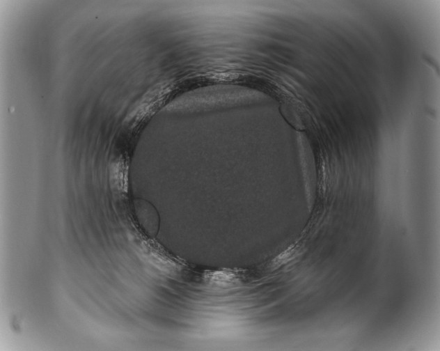 X0000100360180200806201613