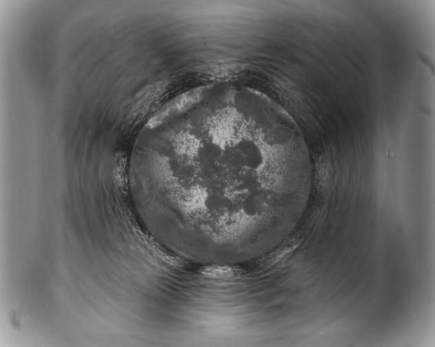 X0000100360181200806201613