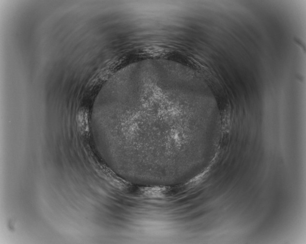 X0000100360182200806201613