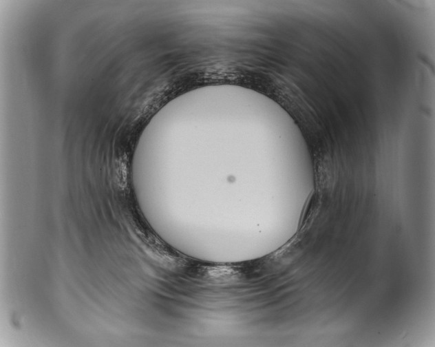 X0000100360183200806201613