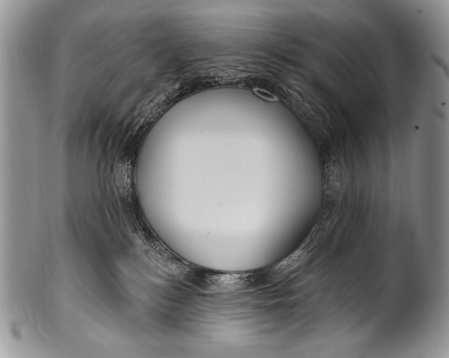 X0000100360184200806201613