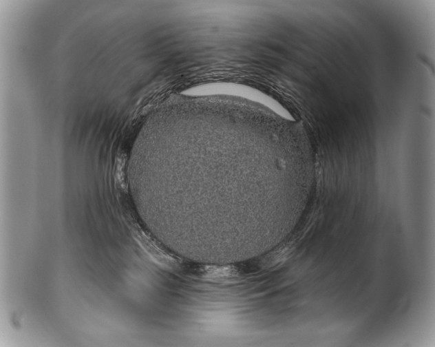 X0000100360185200806201613