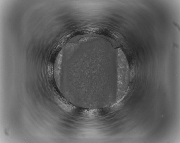 X0000100360186200806201613