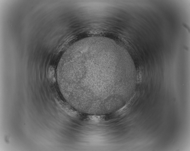 X0000100360187200806201613