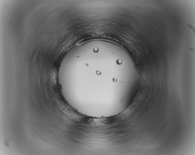 X0000100360188200806201613