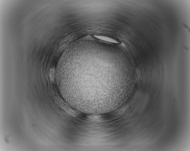 X0000100360189200806201613