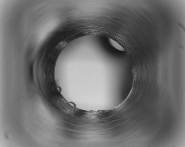 X0000100360190200806201613