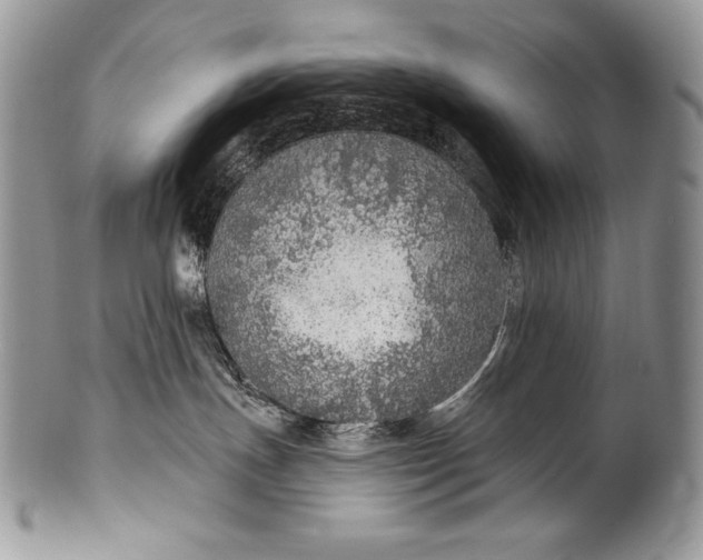 X0000100360191200806201613