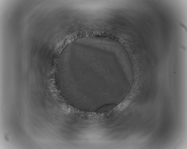 X0000100360192200806201613