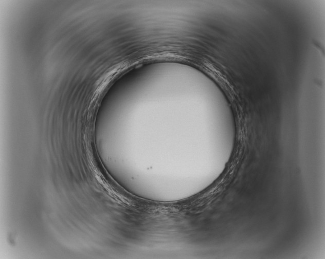 X0000100360193200806201612