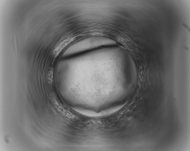 X0000100360194200806201612