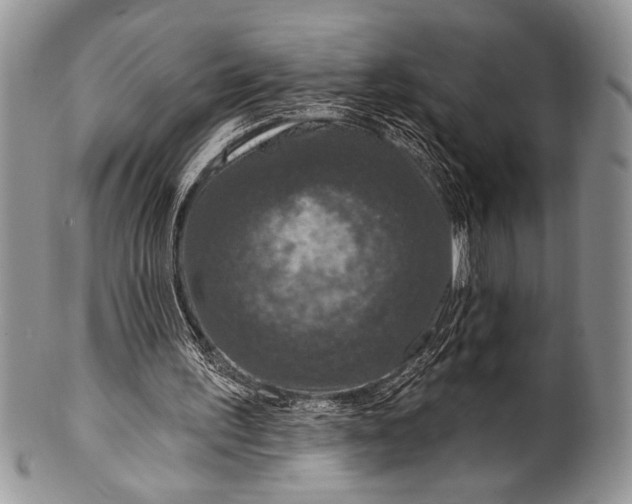 X0000100360195200806201612