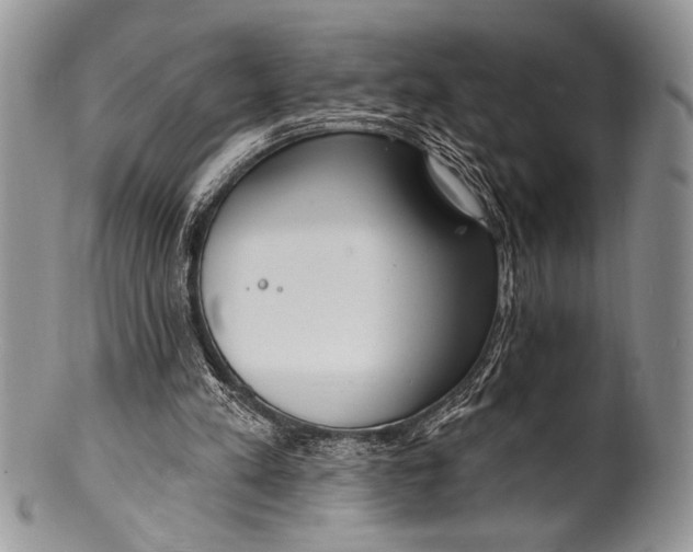 X0000100360197200806201612